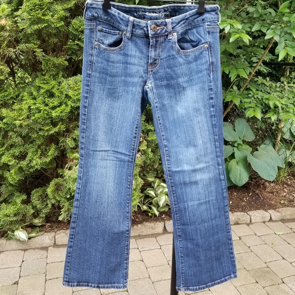 6SHORT American Eagle Low Rise Favorite Boyfriend